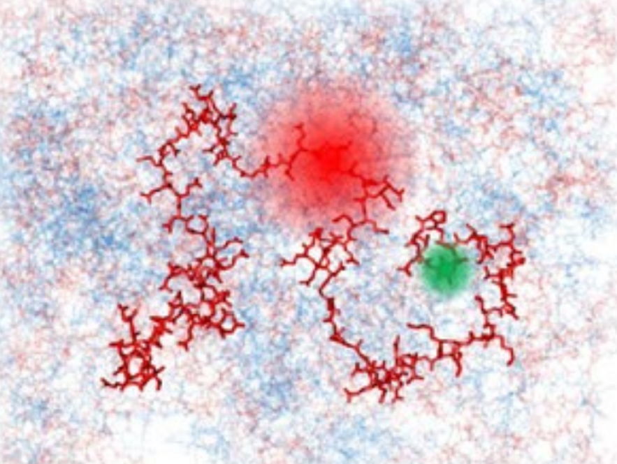 publication thumbnail